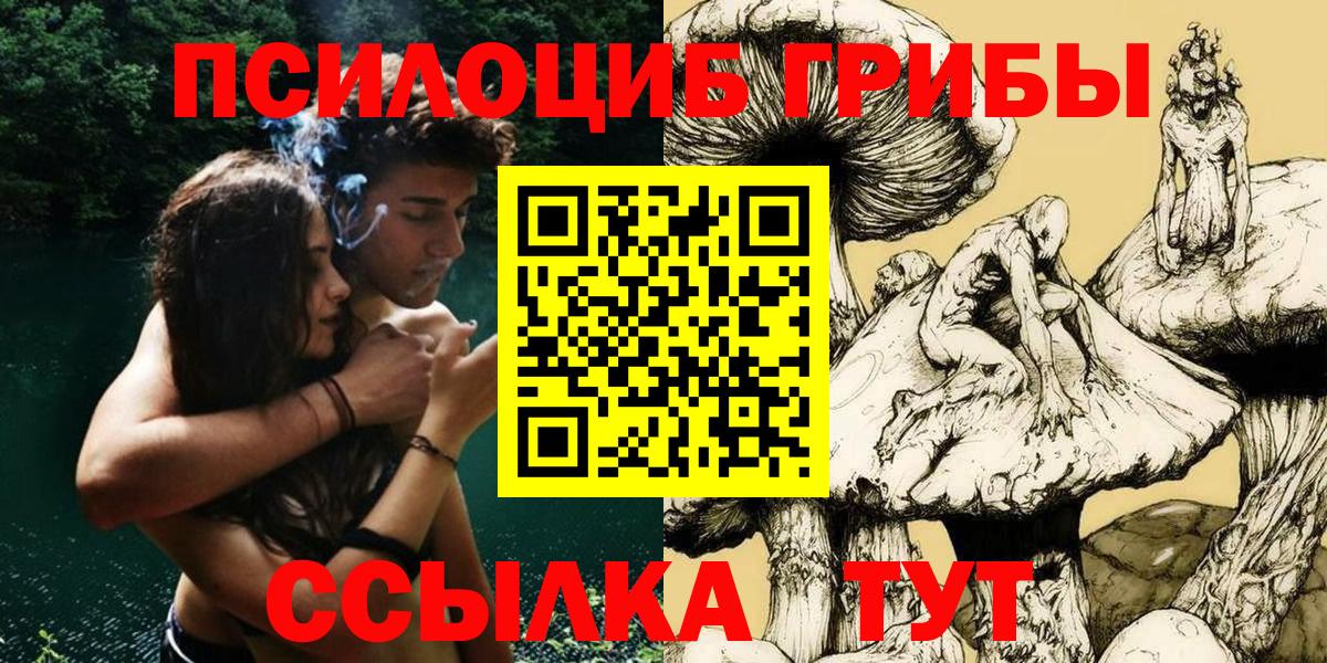 Псилоцибиновые грибы GOLDEN TEACHER Острогожск